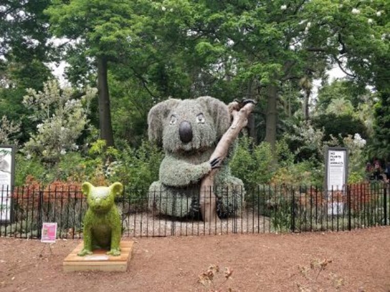 Royal Botanic Garden-5